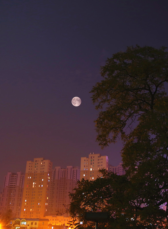 城市的月亮 摄影 高处自有风景